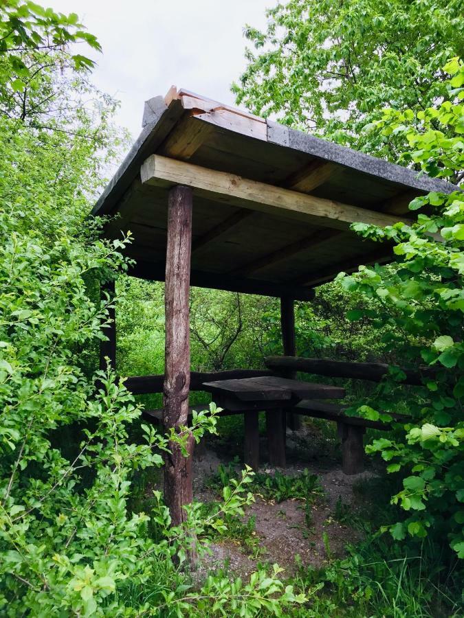 Gaestehaus Hohetanne1 Grossbreitenbach エクステリア 写真