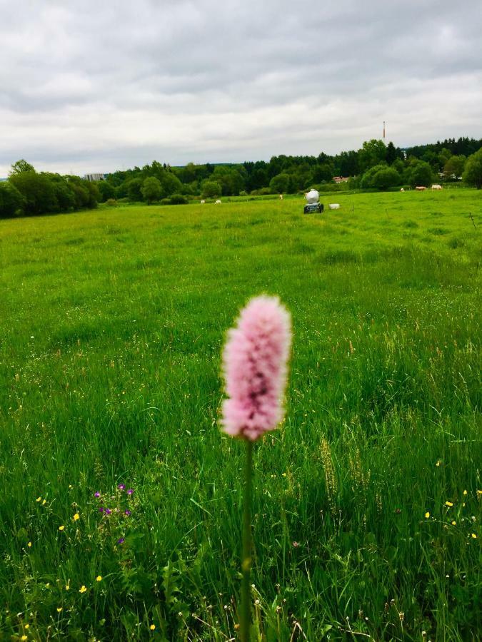 Gaestehaus Hohetanne1 Grossbreitenbach エクステリア 写真