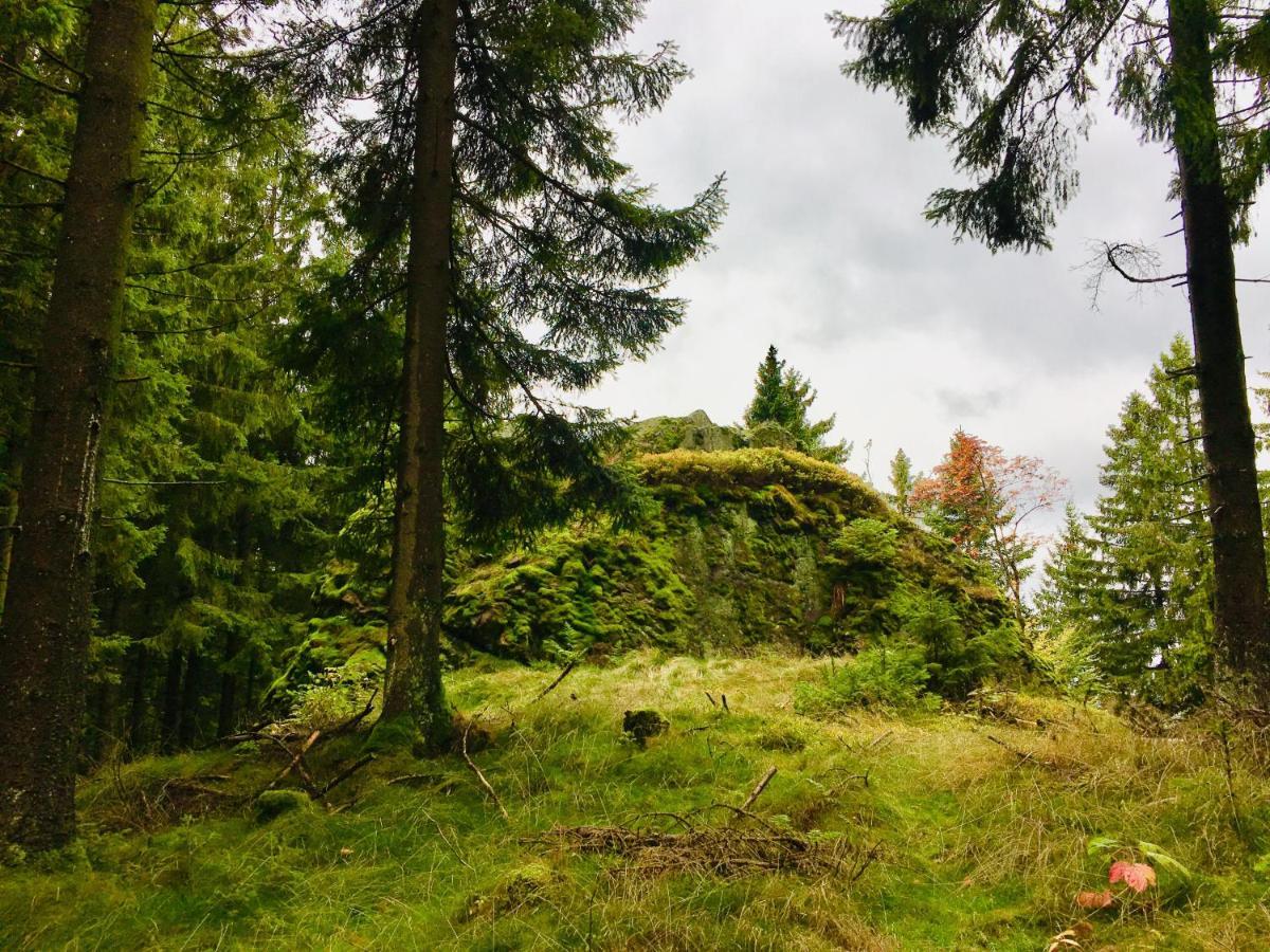 Gaestehaus Hohetanne1 Grossbreitenbach エクステリア 写真